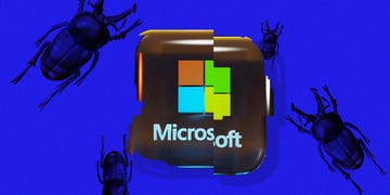 Microsoft bugs, patches, vulnerabilities, windows