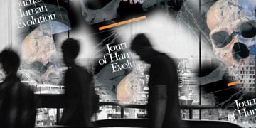elsevier
