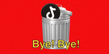 TikTok-bye