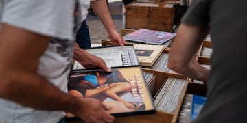 vinyls