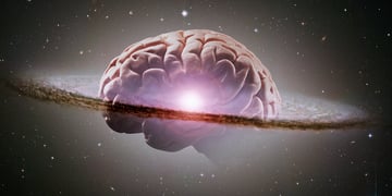 Brain universe
