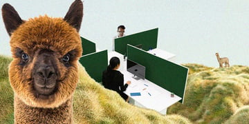 cybersecurity workers