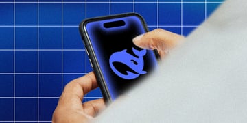 deepseek-iphone