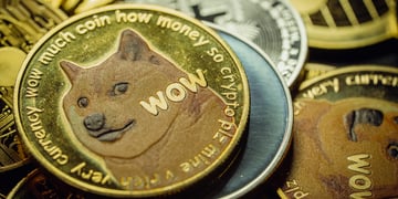Elon Musk meme coin