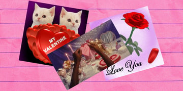 Giphy, GIF, kittens, love, Valentine's Day