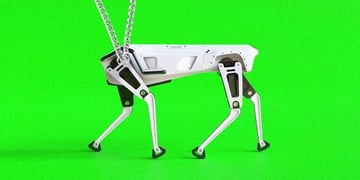 Robot dog with a chain, Unitree, Boston Dynamics