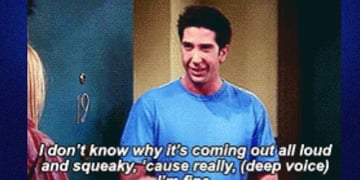 Ross Geller meme