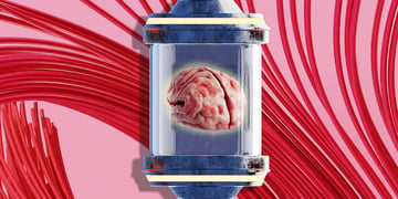 Computer brain