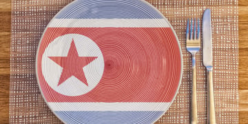 North Korean flag on a plate