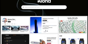 Aloha Browser Snips feature