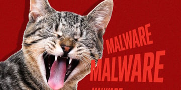 pet microchip malware