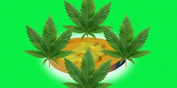 crypto-cannabis