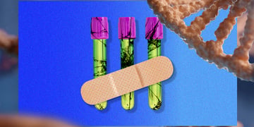 DNA testing, genetics