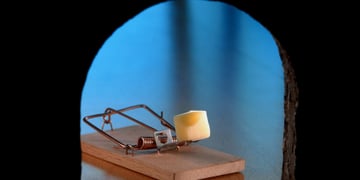 mouse-trap
