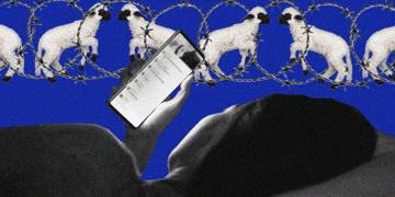 Insomnia, counting sheeps, screen time