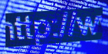 IP address, website, domain
