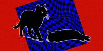 Schrodinger's cat, quantum computing, quantum physics
