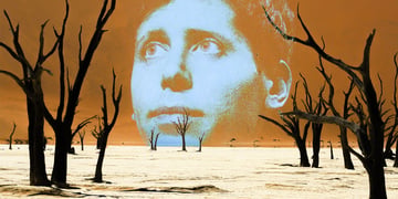 Sam Altman's head looking lost in a wasteland with barren trees.