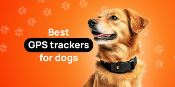 best gps trackers for dogs