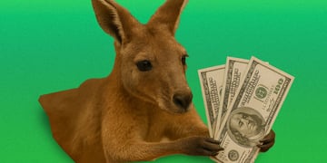 brown cangaroo in green background holding US dollars as ransomware