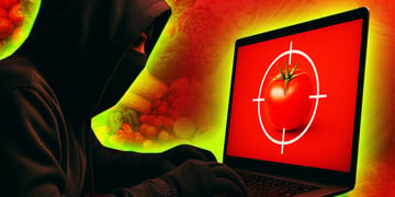 person with black hoody and face mask hacks and targets a red tomato on screen