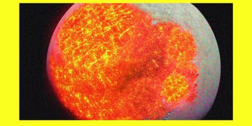The glorious orange section of the moon.