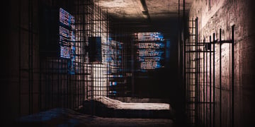 vile-gang-prison