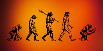 Evolution from monkey to man to monkey with a phone