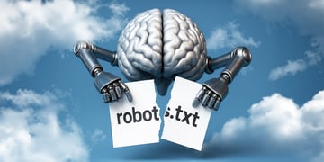robots.txt