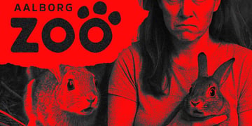 aalborg-zoo-rabbits