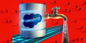 Salesforce data leak