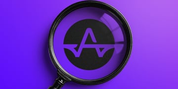 whitebridge.ai complaint