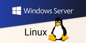 Windows server vs Linux