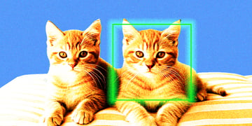 Two kittens beings scanned by artificial intelligence (AI) system