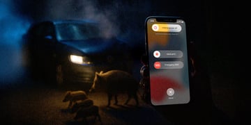 iPhone emergency feature works after car crash