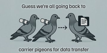 A pigeons meme, reflecting the AWS outage.