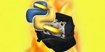 python-burning-a-massive-bag-of-money.jpg