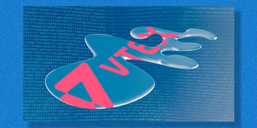 Vtex data leak