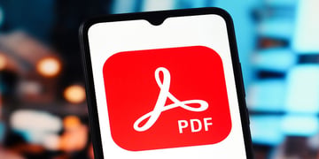 PDF budget leak