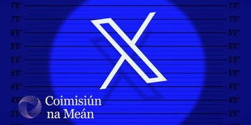 DPA investigating X platform