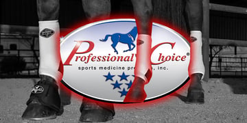 Professional Choice data leak