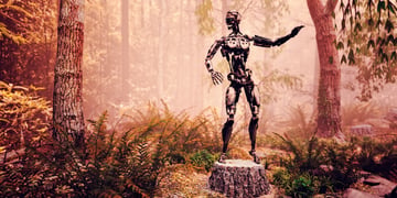 Robot in the woods