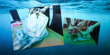coupang data thief throws his macbook into the river