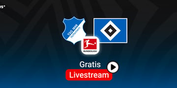 Hoffenheim vs. HSV, Team Logos, Bundesliga