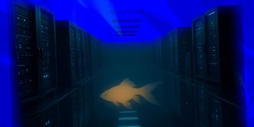 A blurred shot of a server room and a goldfish fading into the background.