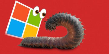 Microsoft worm