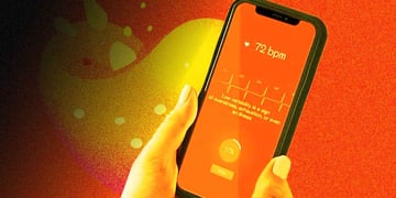 Welltory app review