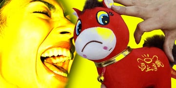 A yellow background, with an enthused face and a stuffed toy horse.