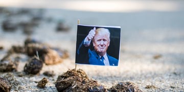 donald-trump-poop