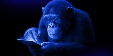 monkey smartphone